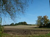 Blick aus dem Fenster