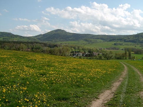 Lausche (Berg)